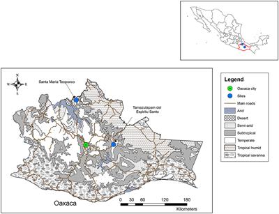 Innovating Traditional Production Systems Through On-Farm Conservation Agriculture and Agroforestry Research